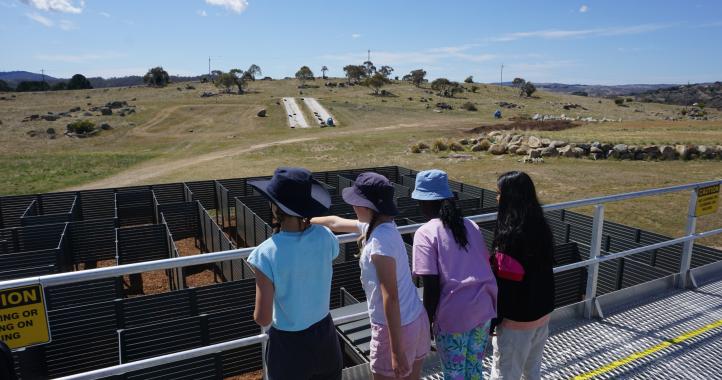 School holiday program group at Jindabyne Sport and Recreation Centre