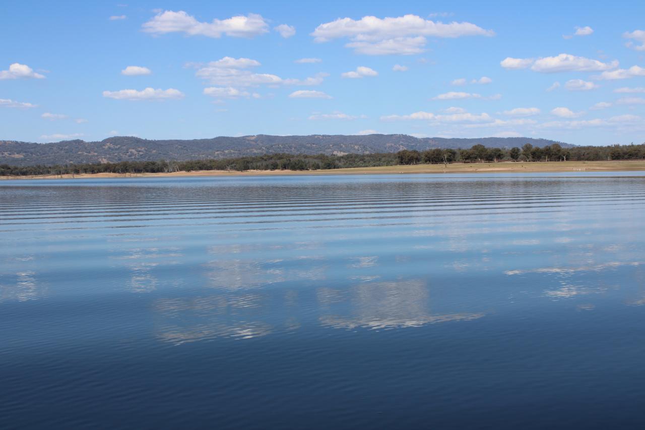 Lake Burrendong water view